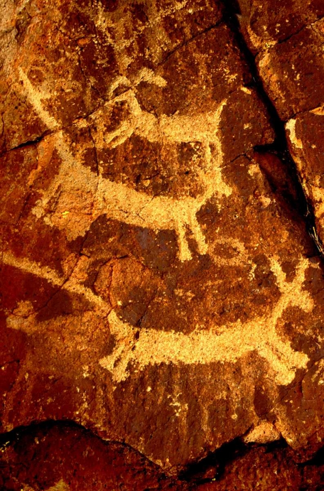 California, Little Petroglyph Canyon Petroglyphs